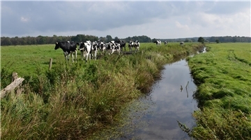 Dieses Foto zeigt die obere Geesteniederung. Die linke Bildhälfte zeigt ordnungsgemäße Landwirtschaft. Die rechte Bildhälfte wirft Fragen auf. 