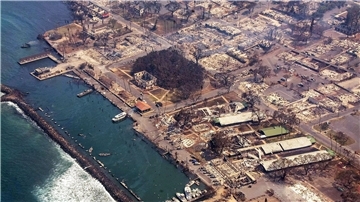 Dieses vom County of Maui zur Verfügung gestellte Luftbild zeigt von den Feuern zerstörte Gebäude in der Nähe eines Jachthafens.
