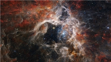 Dieses von der NASA veröffentlichte Bild zeigt die Sternentstehungsregion des Tarantula-Nebels, aufgenommen vom James Webb Space Telescope.