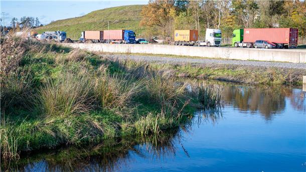 Direkt neben der Straße: Das renaturierte Bredenmoor.
