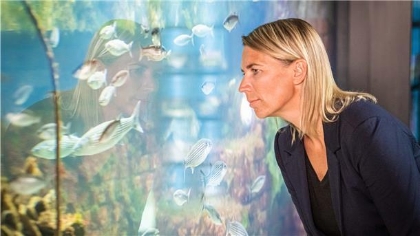 Dr. Bernadette Pogoda, Wissenschaftlerin beim Alfred-Wegener-Institut wirft einen Blick in das neue „Austernriff“ im Zoo am Meer, das Einblick ins Wiederansiedlungsprojekt der europäischen Auster ermöglicht.