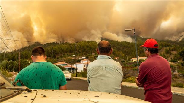 Drei Männer beobachten den Waldbrand auf der Kanareninsel.