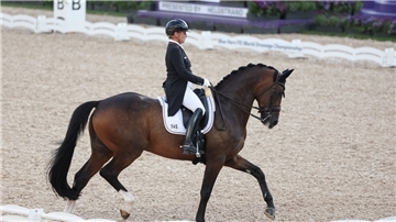 Pferdesport: Weltmeisterschaft, Dressur, Grand Prix Special. Dressurreiterin Isabell Werth (Deutschland) reitet auf DSP Quantaz.