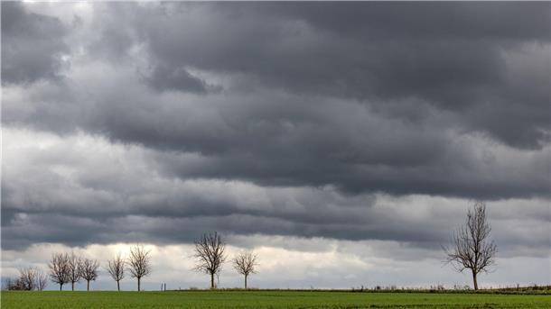 Stürmisches Wetter in Niedersachsen Dunkle Wolken ziehen über eine Baumallee.