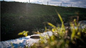 Durch dieses Rohr wird das Wasser aus dem Graben in das Reinigungsbecken gepumpt.