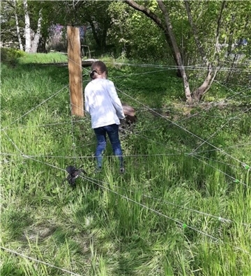 Durch ein Spinnennetz klettern – eine von vielen Möglichkeiten, die Natur aus einer anderen Perspektive zu erleben.