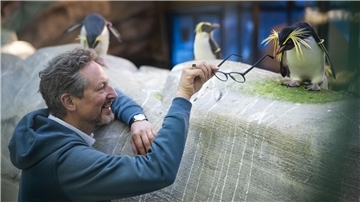 Ein Mann, einem Pinguin seine Brille hinhält.