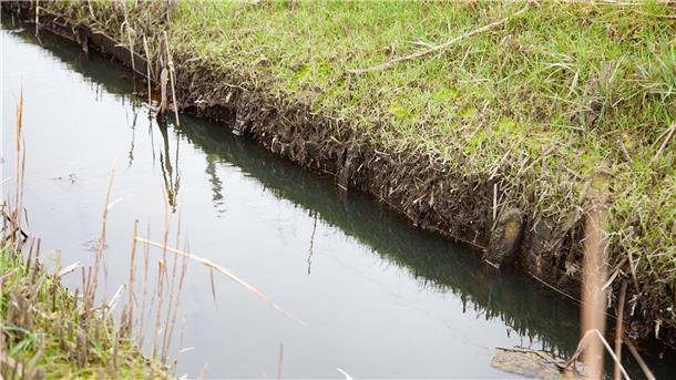 Eigentlich soll die hölzerne Uferbefestigung dauerhaft unter Wasser stehen. An der Misselwardener Wasserlöse war das Anfang des Monats nicht der Fall.