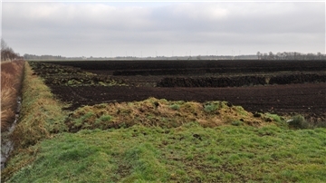 Ein abgetorftes Moor in der mittleren Wesermarsch. Dort wird auf Moorböden auch Landwirtschaft betrieben. Sollten die Flächen aus Klimaschutzgründen alle vernässt werden, wie es die Bundesregierung vorhat, würde der Wertverlust für die Landwirte enorm sein.