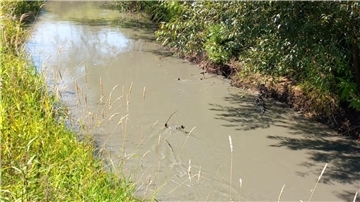 Ein Anblick der Oste, der die Angler wütend macht.