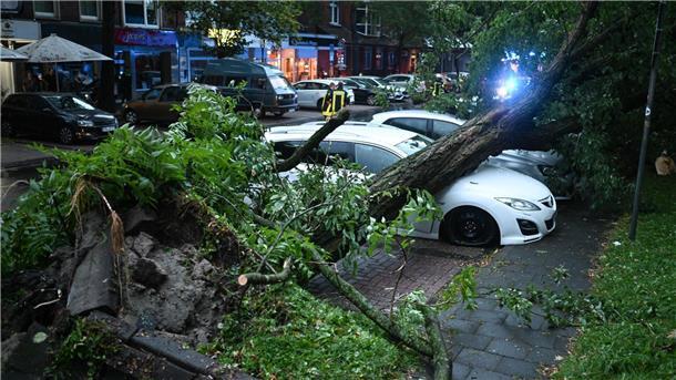 Sturm fegt über Niedersachsen - mehrere Verletzte Ein Baum ist im Sturm entwurzelt worden und hat parkende Autos beschädigt.