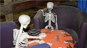 Zwei Skelette spielen Skat am Tisch. 