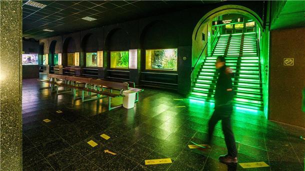 Viele Zootiere mögen’s heiß Ein Besucher geht durch das Exotarium. Der Zoo der Mainmetropole hat mit steigenden Eneriekosten zu kämpfen.