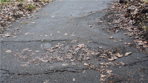 Das Bild zeigt einen schadhaften Radweg. 