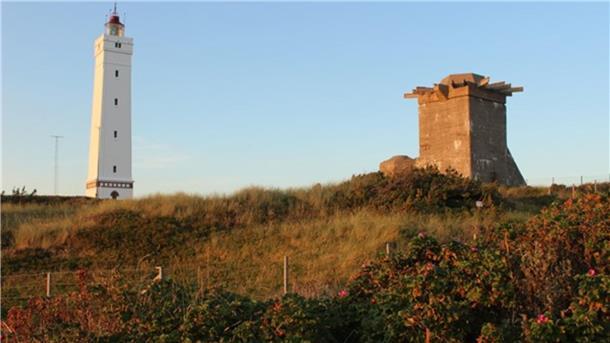 Wiese an der Nordseeküste mit Leuchtturm.