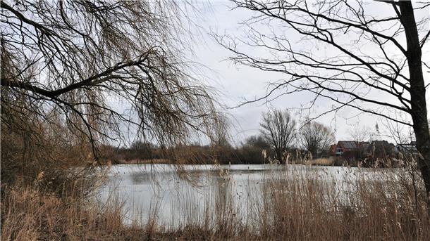 Ein Blick auf den westlichen See des Seenparks II in Friedrich-August-Hütte. Der Butadinger Fischereiverein hat das Gewässer gepachtet. Gemeinsam mit der Stadt wollen die Fischer die Wasserqualität verbessern.