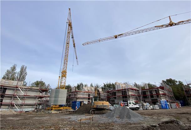 So wird der 8er-Diek-Ferienpark in Tossens aussehen Ein Blick auf die Baustelle: Fünf Gebäude sind bereits so weit errichtet, dass in Kürze die Zimmerer für den Dachstuhl anrücken werden.