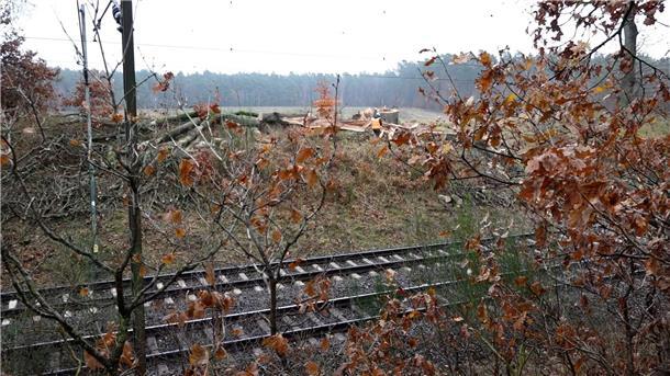 Blitzeinschlag legt Zugverkehr im Norden lahm Ein Blitz ist zwischen Lüneburg und Uelzen eingeschlagen. Zugausfälle und Verspätungen im Verkehr in Deutschland waren die Folge.