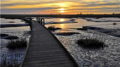 Bohlensteg am Langwarder Groden vor der untergehenden Sonne