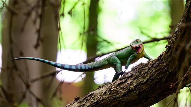 Ein Dinosauriermodell in Originalgröße ist im Wildpark Schwarze Berge ausgestellt. 