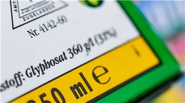 Ein Entwurf der EU-Kommission sieht eine Zulassungsverlängerung für Glyphosat um zehn Jahre vor.