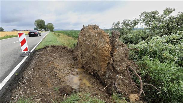 Ein entwurzelter Baum an der L270 bei Betzenweiler in Baden-Württemberg.