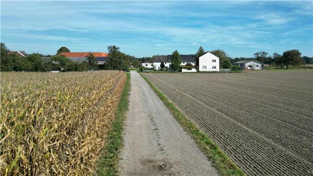 Joggerin von Hund totgebissen - Tier eingeschläfert Ein Feldweg in Naarn.