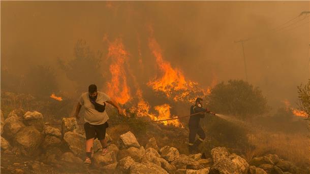 Ein Feuerwehrmann kämpft im Dorf Hasia in der Nähe von Athen gegen einen Waldbrand.