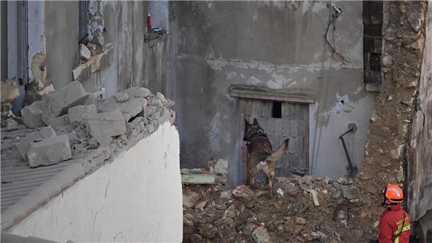 Haus in Marseille stürzt ein - Sechs Tote in Trümmern Ein Feuerwehrmann und sein Spürhund suchen nach Opfern in den Trümmern.