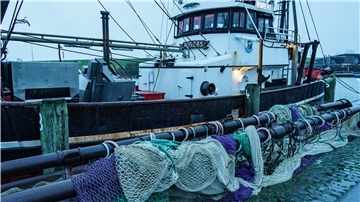 Ein Fischerboot hat im Fischereihafen Büsum angelegt während Netze auf der Pier gelagert werden.