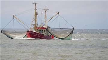 Ein Fischkutter ist auf der Nordsee vor der Insel Pellworm zu sehen.