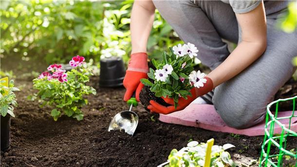 Kreative Geschenklösungen für Gartenliebhaber – Inspirationen und Tipps Gärtnerin pflanzt Blume