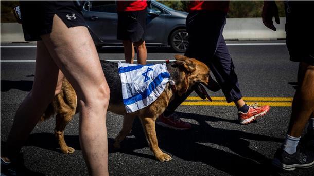 Israel: Knesset berät Justizumbau, Herzog hofft auf Einigung Ein Gegendemonstrant hat auf den Marsch nach Jerusalem seinen Hund mitgebracht.
