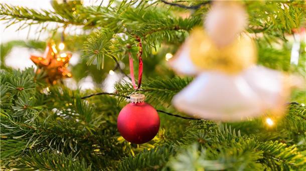 Agentur für Arbeit sucht Weihnachtsmänner Ein geschmückter Tannenbaum.