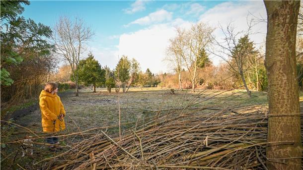 Ein guter Platz für einen Gemeinschaftsgarten? Einen Spielplatz oder einen Aussichtsturm? Mit der Initiative „Meergestrüpp“ sammelt Marnie Knorr Ideen für das Gebiet der „Neuen Aue“.