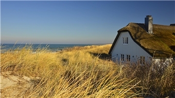 Reetdachhaus