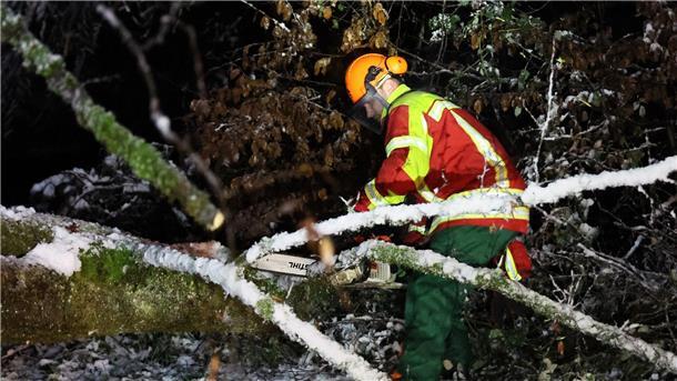 Ein Helfer zersägt in der Nähe von Bessenbach im unterfränkischen Landkreis Aschaffenburg einen Baum, der nach starkem Schneefall umgestürzt ist.