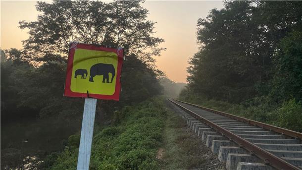 Ein Hinweisschild warnt vor wilden Elefanten. (Foto aktuell)