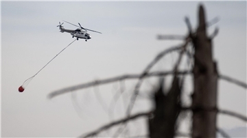 Wilde Wälder sind schwerer zu löschen: Brennen seltener Ein Hubschrauber fliegt bei Löscharbeiten über einen Waldbrand.
