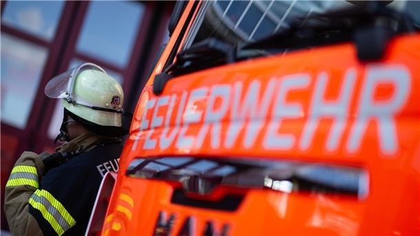 Feuerwehr befreit Hund aus Kofferraum Ein in einem Auto eingeschlossener Hund sorgt für einen Feuerwehreinsatz in Emden. (Symbolbild)