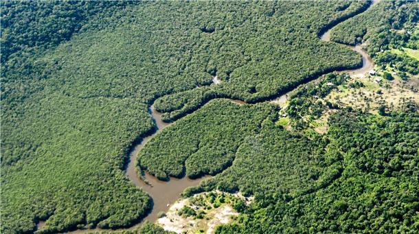 Deutlich weniger Rodung im brasilianischen Amazonasgebiet Ein kleiner Fluss schlängelt sich durch den Amazonas-Regenwald. Das brasilianische Amazonasgebiet gilt als CO2-Speicher.