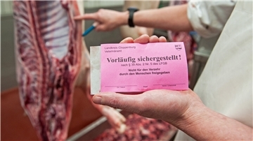 Ein Kontrollassistent des Landkreises Cloppenburg hält in einem Schlachthof Etiketten mit der Aufschrift "Vorläufig sichergestellt!" bereit.