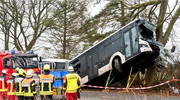 Ein Linienbus hängt nach einem Unfall in Schönberg, Schleswig-Holstein, an einem Baum. Der Bus war zuvor auf einer Leerfahrt in einer Kurve von der Straße abgekommen. Der Fahrer wurde dabei verletzt.
