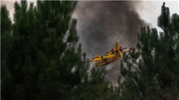 Ein Löschflugzeug überfliegt den Wald während eines Brandes in Frankreich.