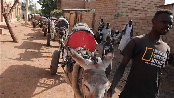 Vermittler: Waffenruhe im Sudan um fünf Tage verlängert Ein Mann führt in Khartum Esel, die Wasserfässer auf Karren ziehen.