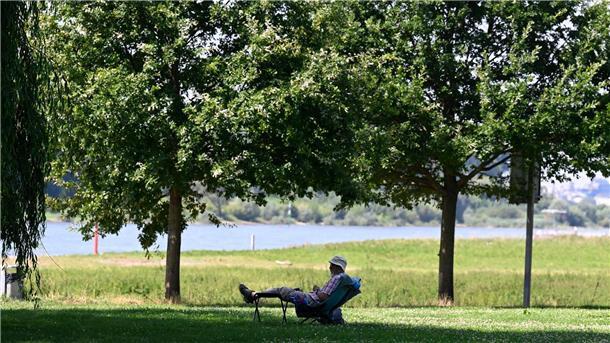 Ein Mann hat sich ein schattiges Plätzchen am Ufer des Rheins in Leverkusen gesucht. (Archivbild)
