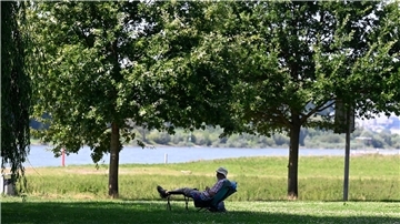 Ein Mann hat sich ein schattiges Plätzchen am Ufer des Rheins in Leverkusen gesucht. (Archivbild)