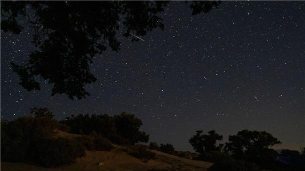 Sternschnuppen verzücken Beobachter Ein Meteor beim Eintritt in die Erdatmosphäre hinter Zedernbäumen in Gavdos, Griechenland.