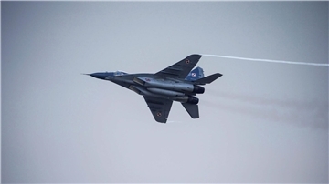 Ein MiG-29-Kampfjet der polnischen Luftwaffe bei einer Luftfahrt-Schau.