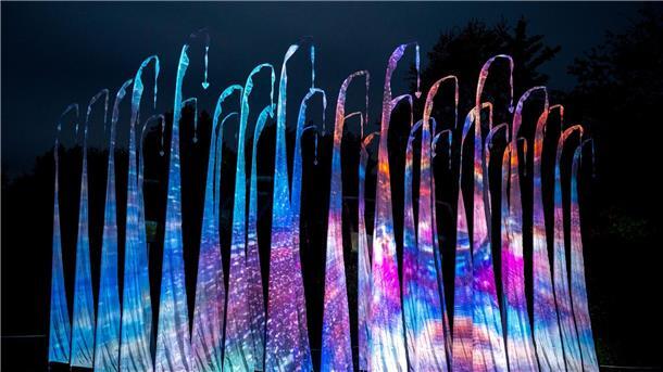 Lichtkunst: Illumination im Park der Gärten startet Ein Muster wird im Park der Gärten auf zahlreiche Segel projiziert.